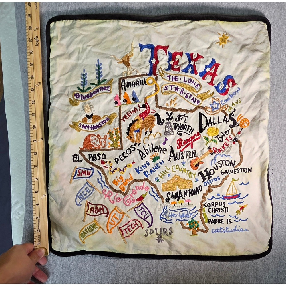 Catstudio Texas State Geography Hand Embroidered Pillow Cover 19x19 Map Canvas